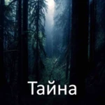 тайна android application logo